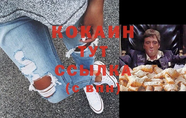шишки Заволжье
