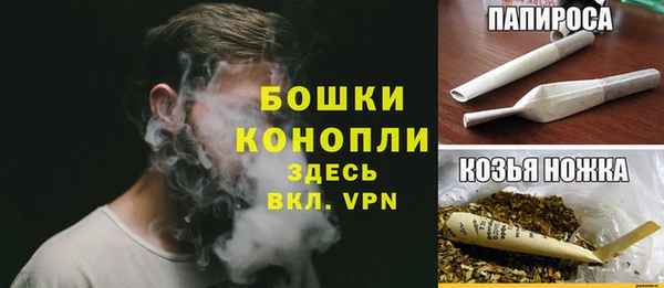 дживик Заводоуковск