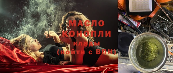 шишки Заволжье