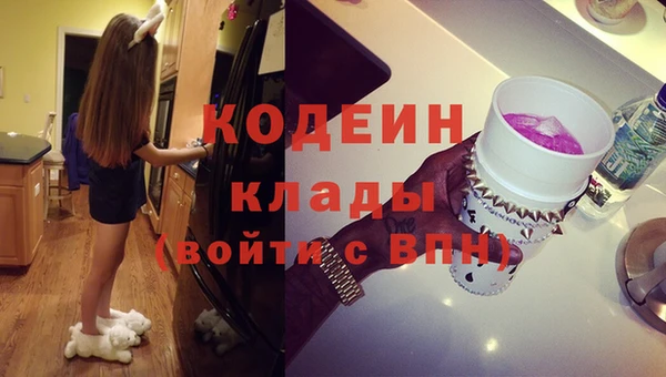 шишки Заволжье