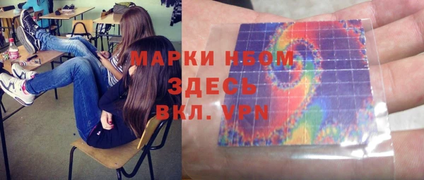сатива Зеленокумск
