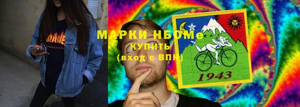 шишки Заволжье