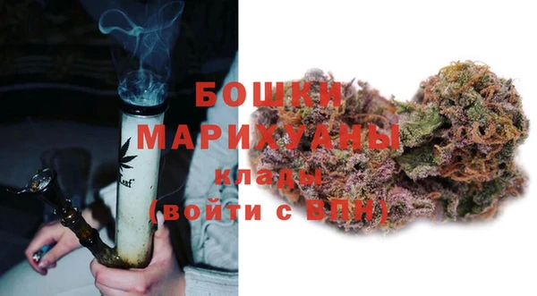 шишки Заволжье