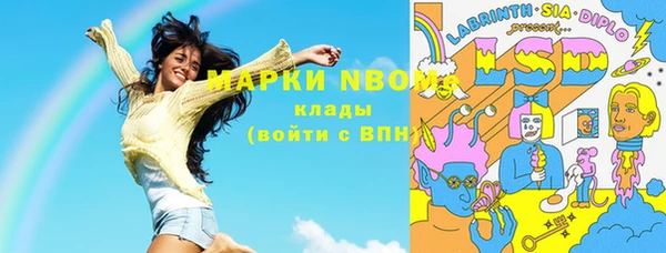 шишки Заволжье