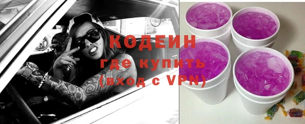 дживик Заводоуковск